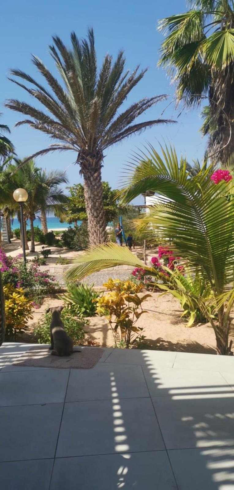 Beach Villa Am Praia De Chaves, Sal Rei, Boa Vista エクステリア 写真